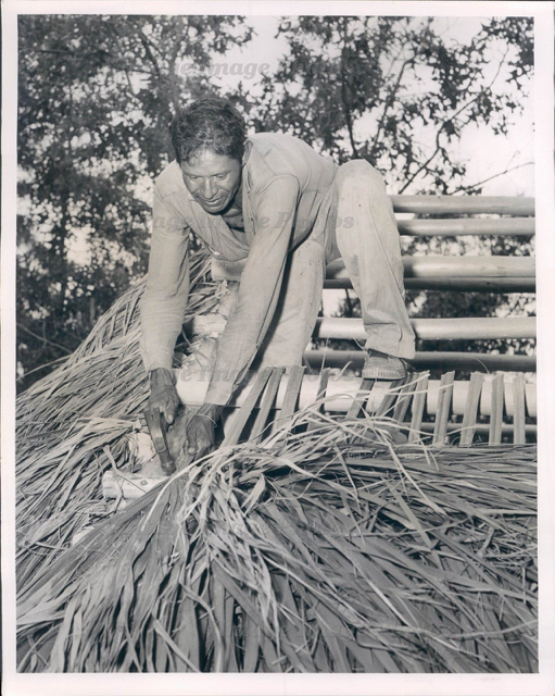 Frank Cypress build such a chickee home for his wife and 10 children at old Ft. Dodge, a tourist attraction near Brooksville.