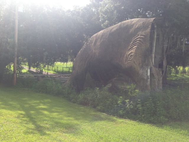 Headless dino.  Brooksville FL  2014